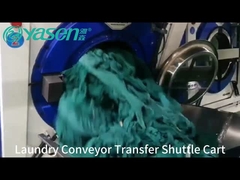 Laundry Conveyor Transfer Shuttle Cart